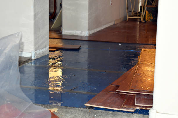 Professional Water Damage Restoration technician working in Danville, IN